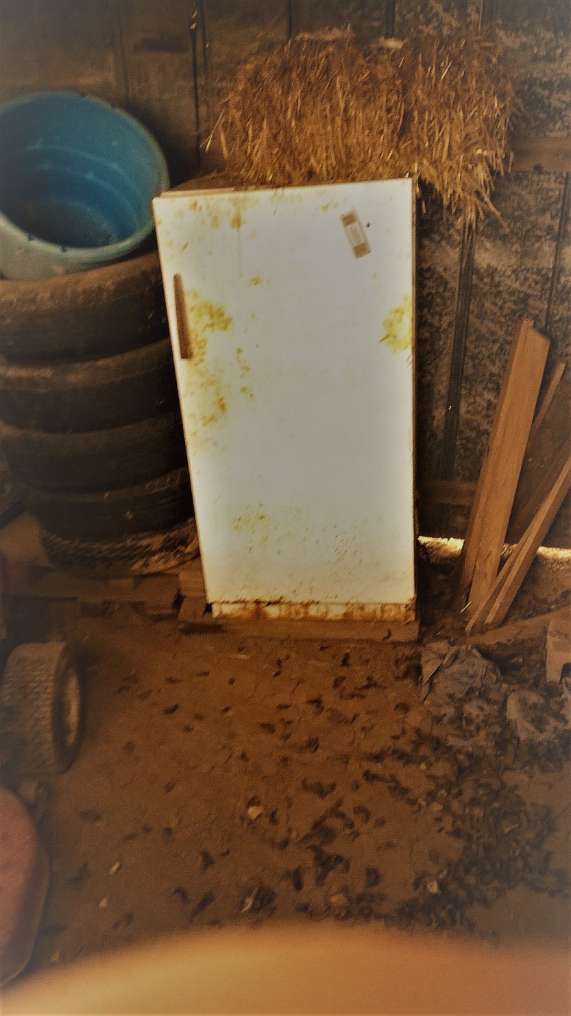 wp_20161125_12_57_09_pro